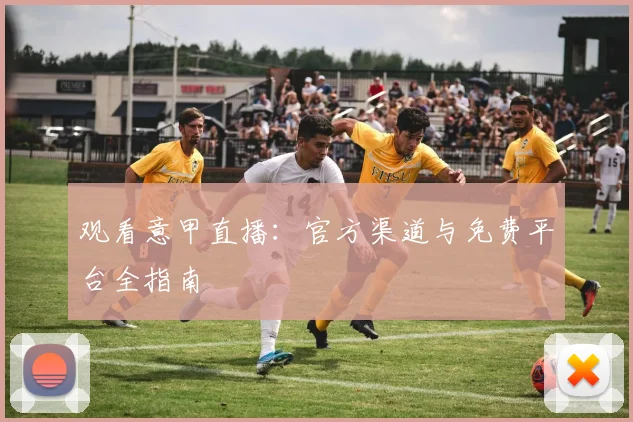 观看意甲直播：官方渠道与免费平台全指南